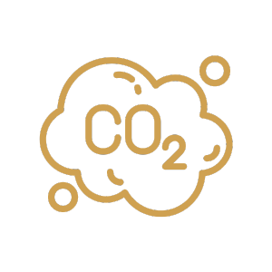 carbon dioxide gas