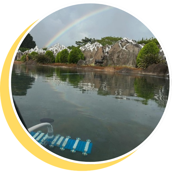 rainbow beyond large pond/pool, pool cleaning skimmer tool