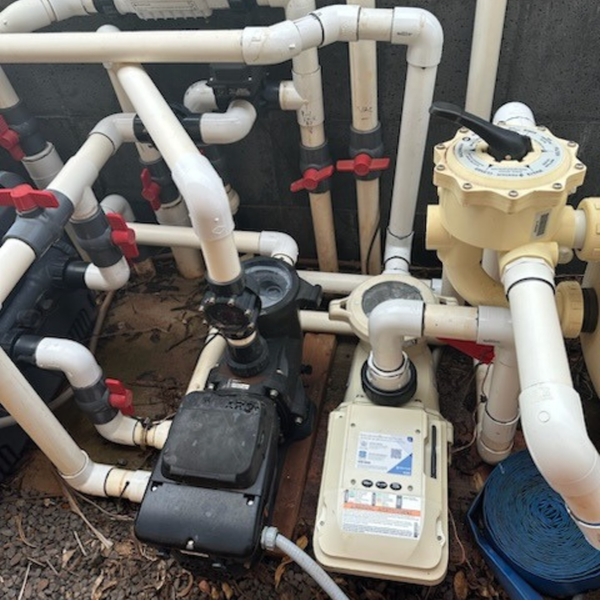 Untitled design (56).png