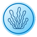 algae seaweed icon