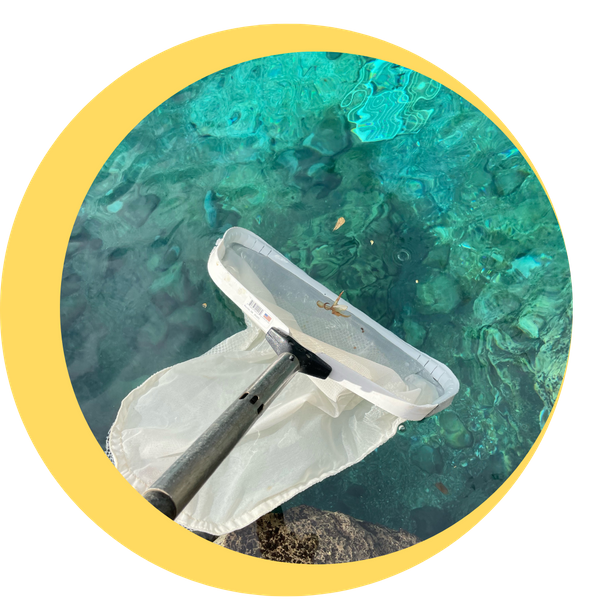 Pool Maintenance image 1.png