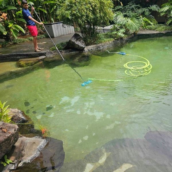 Why Professional Pool Maintenance is Crucial for Saltwater Systems (4).jpg