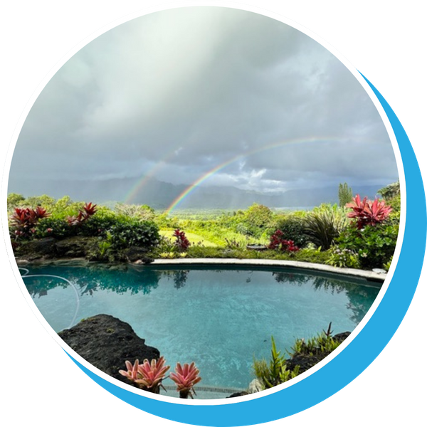 Pool Cleaning Filter 2.png