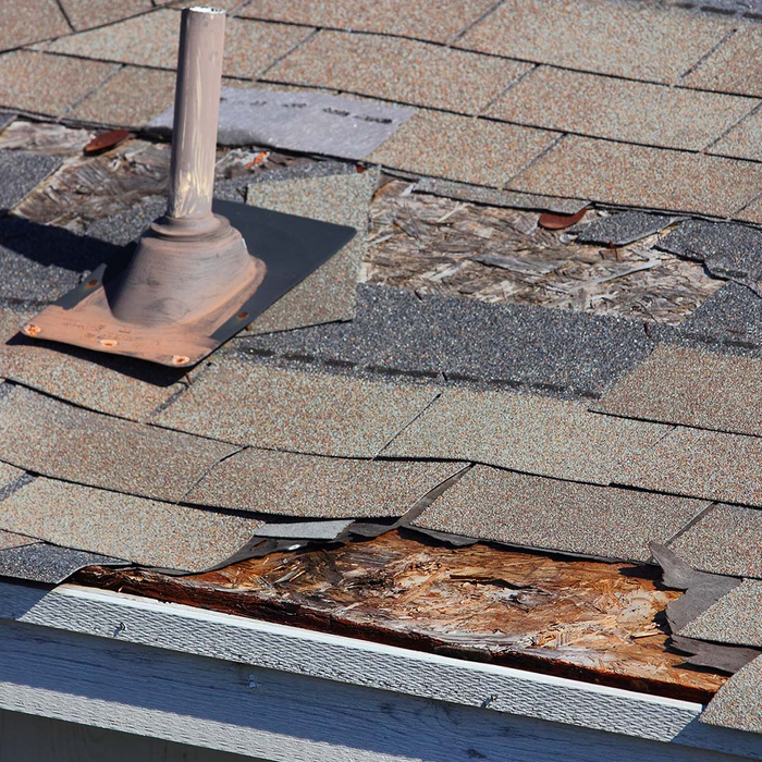 Roof with bald spots