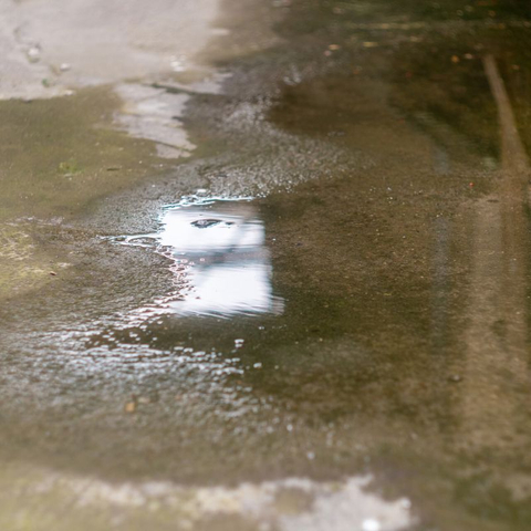 Water Pooling.jpg