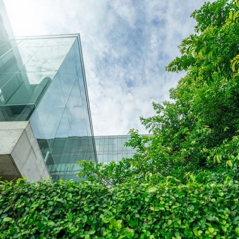 Modern building with a tree in the forefront