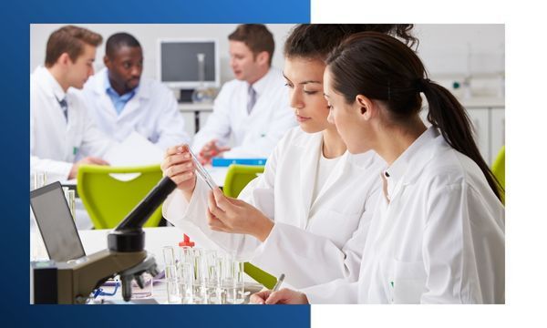 scientists working in a laboratory scientists working in a laboratory