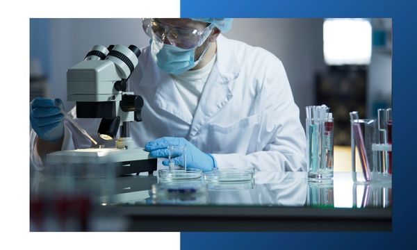 scientists working in a laboratory scientists working in a laboratory
