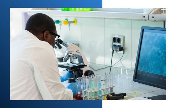 scientists working in a laboratory scientists working in a laboratory
