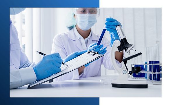 scientists working in a laboratory scientists working in a laboratory