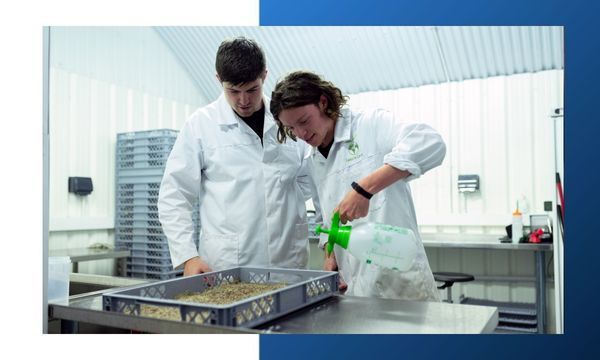 scientists watering plant in a laboratory scientists watering plant in a laboratory