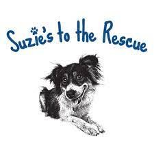 suzies-logo_orig.jpg