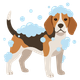 dog with soap on it icon