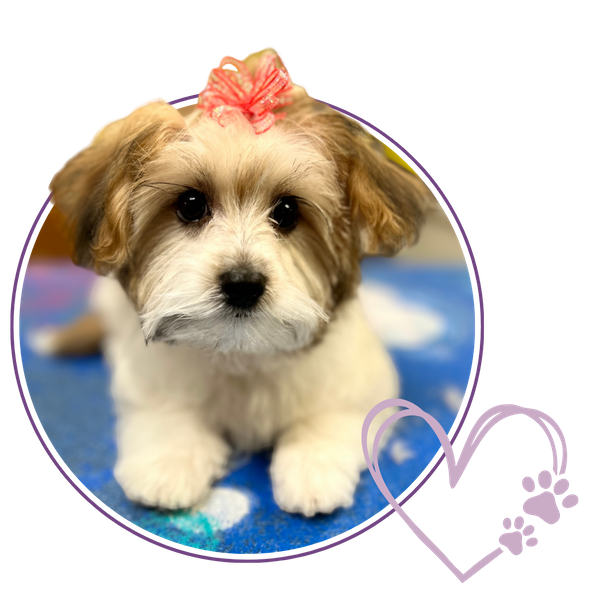 Homepage Image 3.png