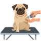 dog getting it nails cut icon