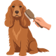 dog getting brushed icon