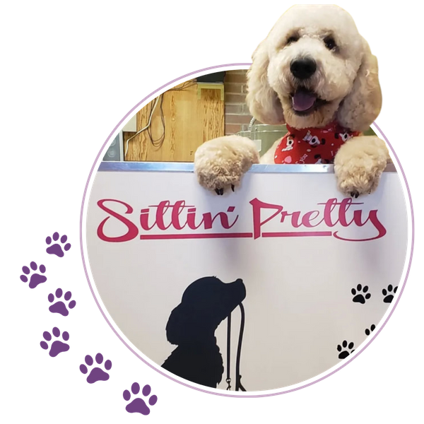 Grooming Services Image 2.png