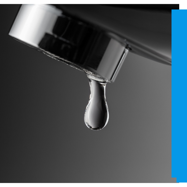 Leak Detection - Image 2.png
