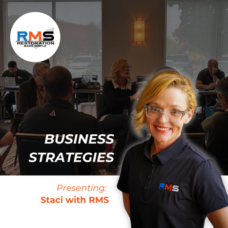 Staci Business Strategies.png