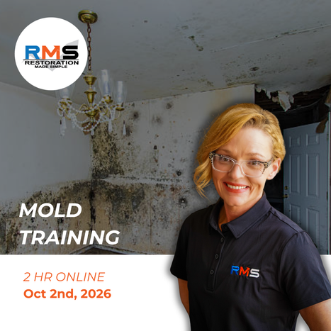 Mold - Staci Training.png