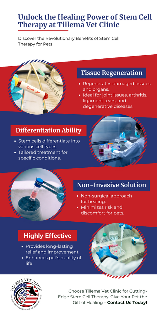 M46583 - Infographic - Stem Cell Therapy (1).png