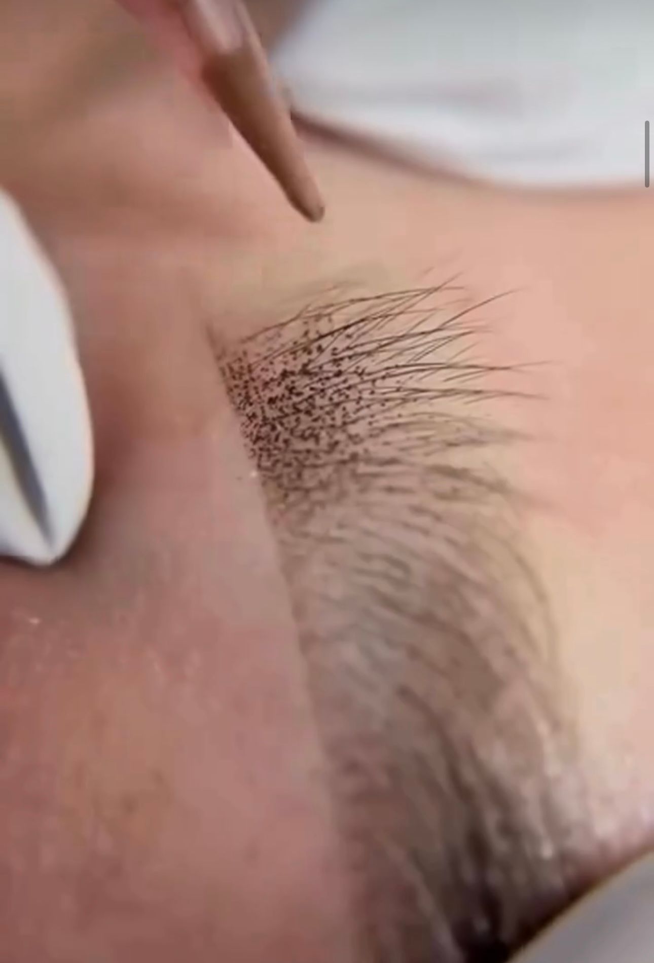PMU BROWS.jpg