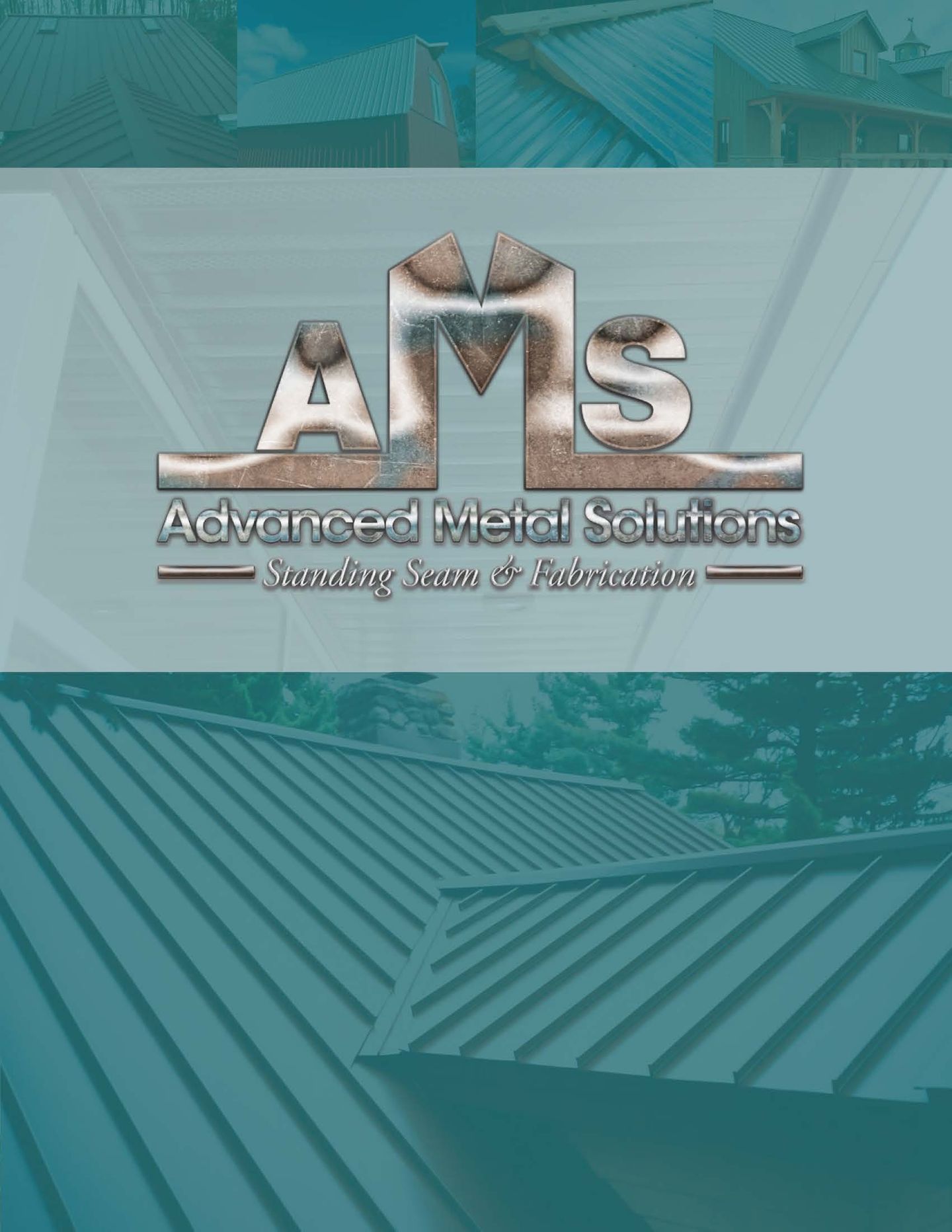 Copy of AMS_booklet_v1.6_042920_pages.jpg