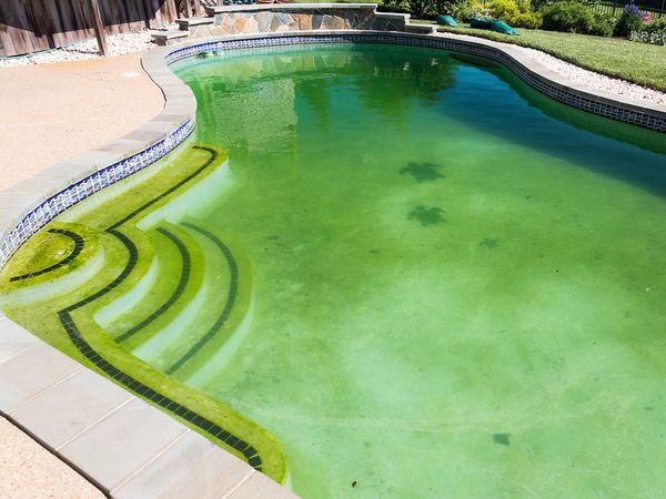 Pool with green water in it.