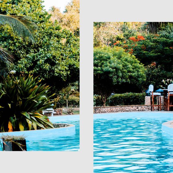 A split image of a pool with tropical foliage.