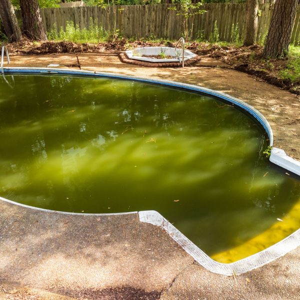 Green Pool 