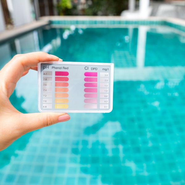 Person looking at a pool chemical indicator. 