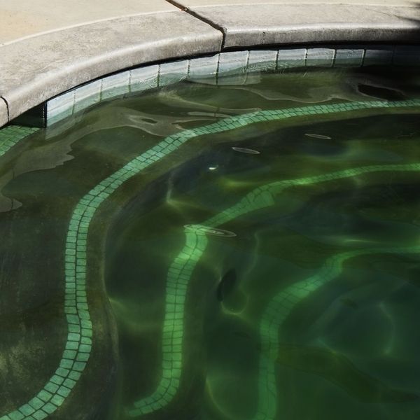 pool with green water from algae