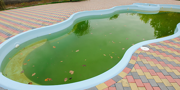 green-pool-cta-5d3f0405155d7.png