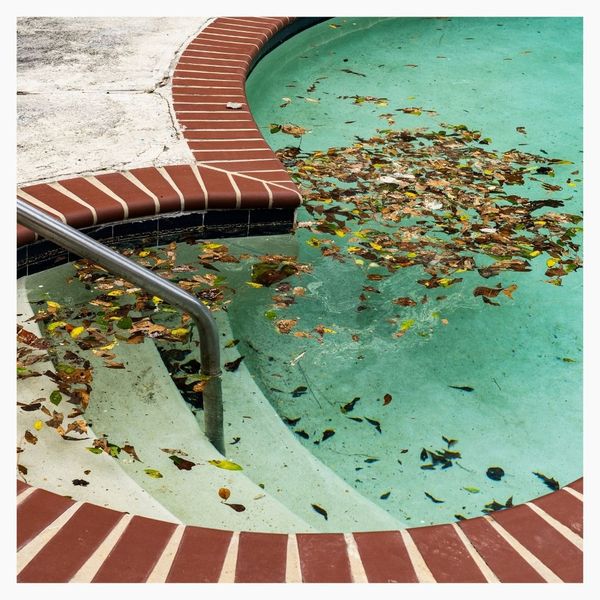 leaves in pool