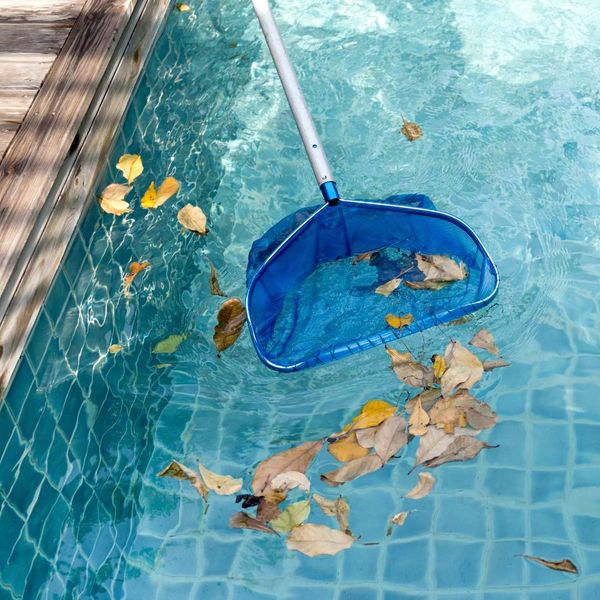 Pool Crystal Clear 1.jpg