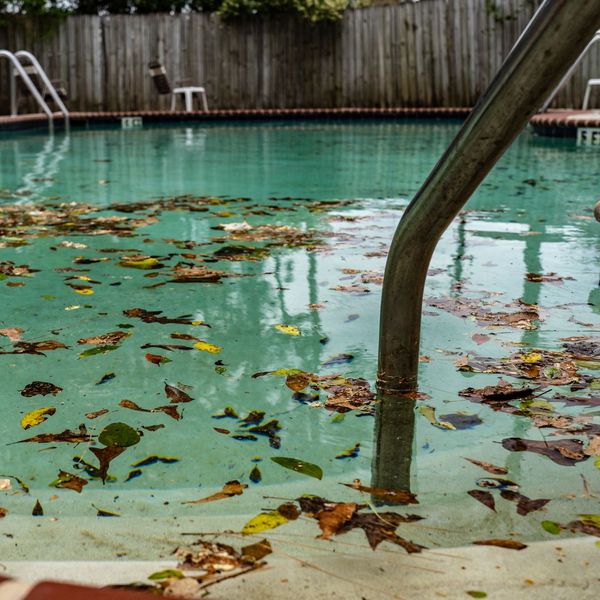 The Risks of Inconsistent Pool Cleaning for Your Residential Pool 3.jpg