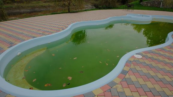 green pool
