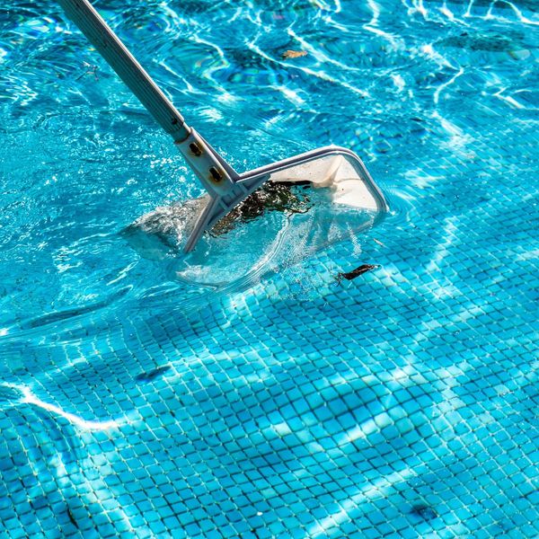 Person using a net to clean a pool. 