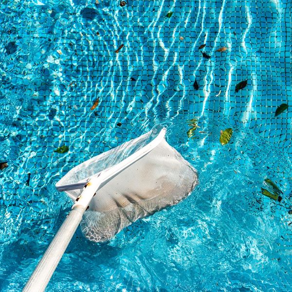 removing leaves from pool with net