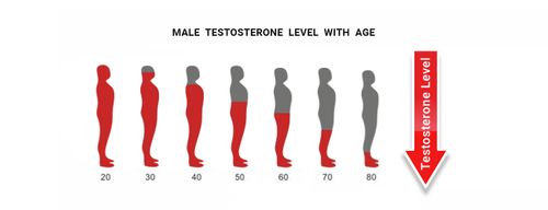 Male-testosterone-level-with-age.jpg
