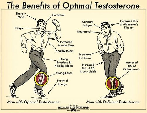 Testosterone-21.jpg