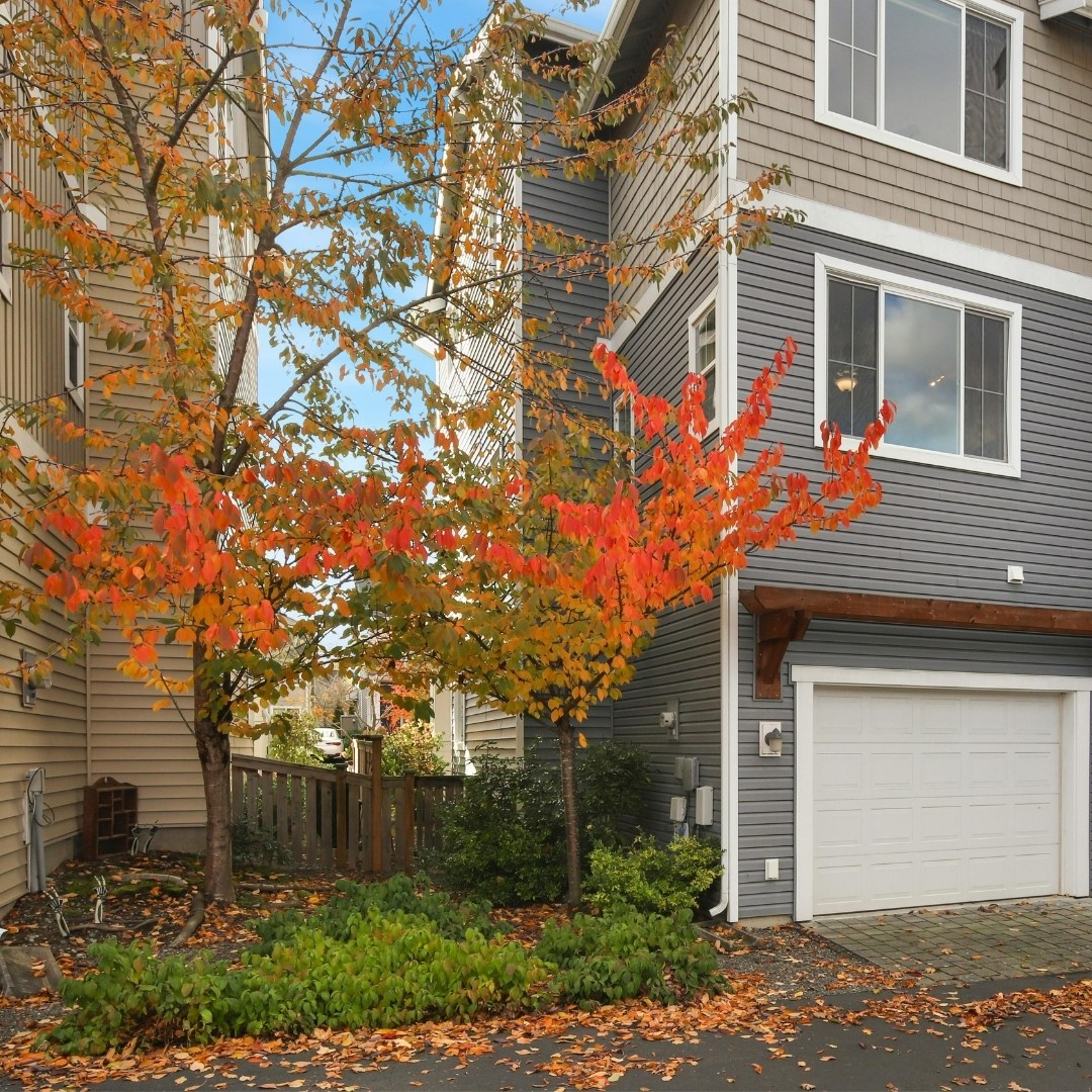 Siding - Image 3.jpg