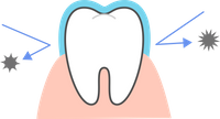 Dental diagram