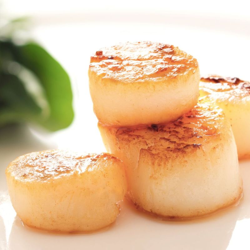 scallops