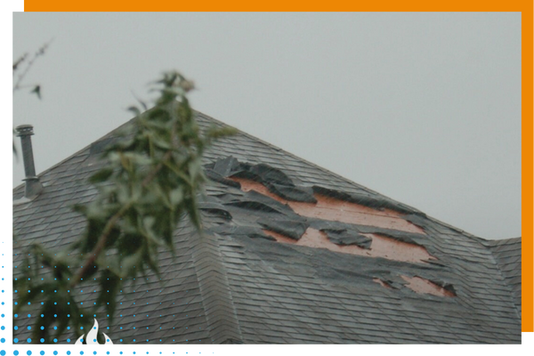 water damaged roof