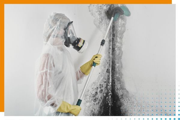 scrubbing heavily mold-damaged wall wearing PPE