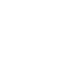 Safety Compliance Icon.png