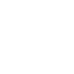 Flawless Finishes Icon.png