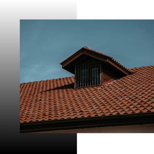 close up of a ro