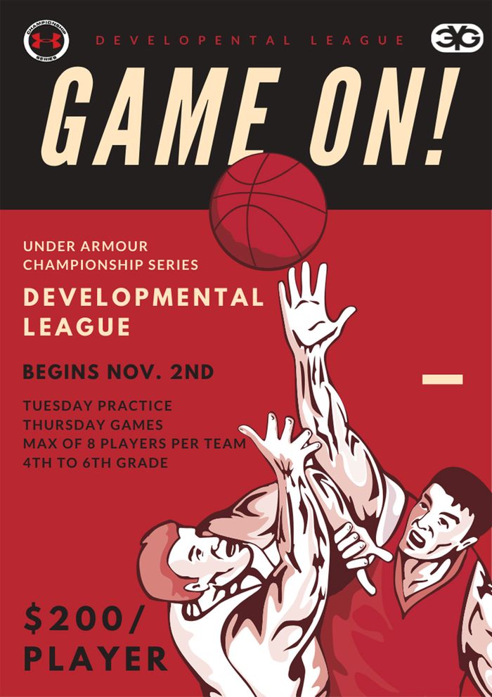 Developmental League Flyer